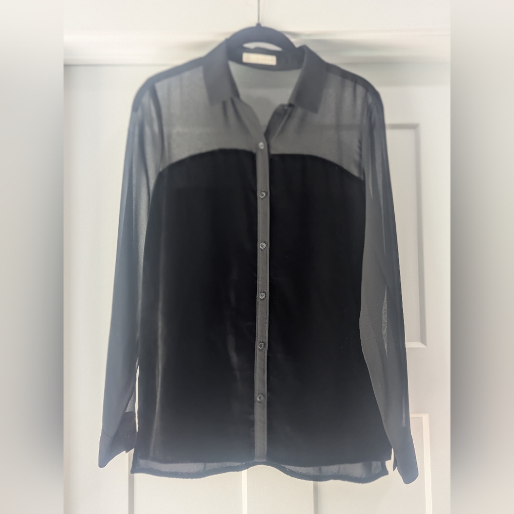 Hinge Black Sheer/Velvet Blouse